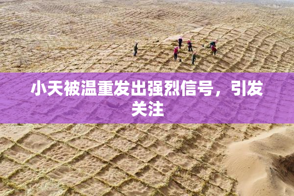 小天被温重发出强烈信号，引发关注