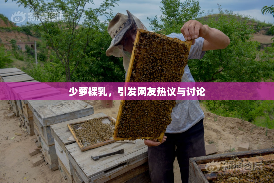 少萝裸乳，引发网友热议与讨论