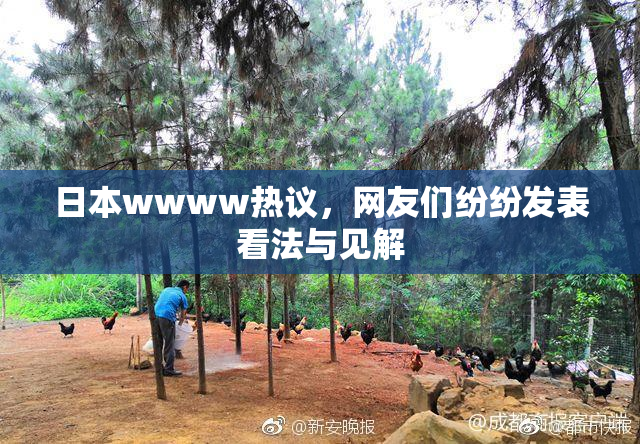 日本wwww热议，网友们纷纷发表看法与见解