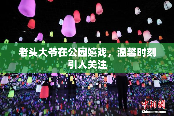 老头大爷在公园嬉戏，温馨时刻引人关注