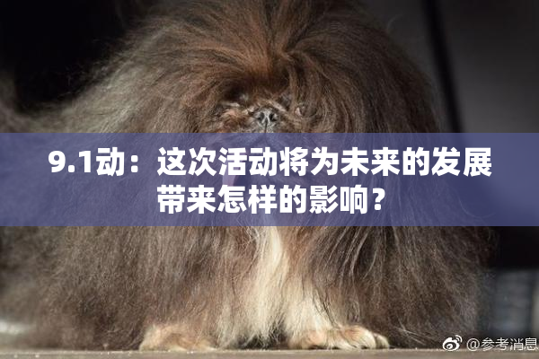 9.1动：这次活动将为未来的发展带来怎样的影响？