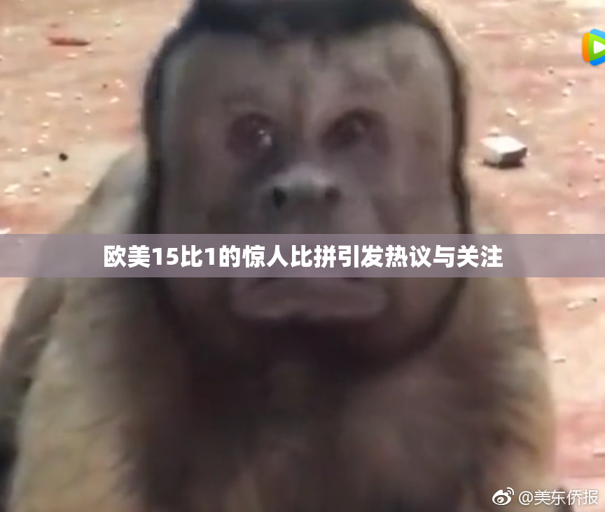 欧美15比1的惊人比拼引发热议与关注