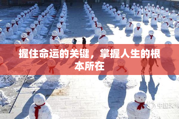 握住命运的关键，掌握人生的根本所在