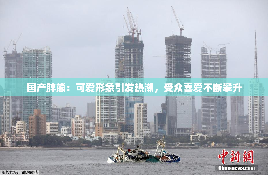国产胖熊：可爱形象引发热潮，受众喜爱不断攀升