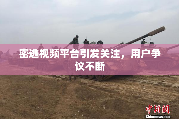 密逃视频平台引发关注，用户争议不断