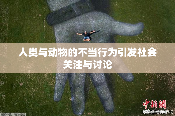 人类与动物的不当行为引发社会关注与讨论