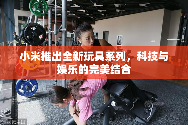 小米推出全新玩具系列，科技与娱乐的完美结合
