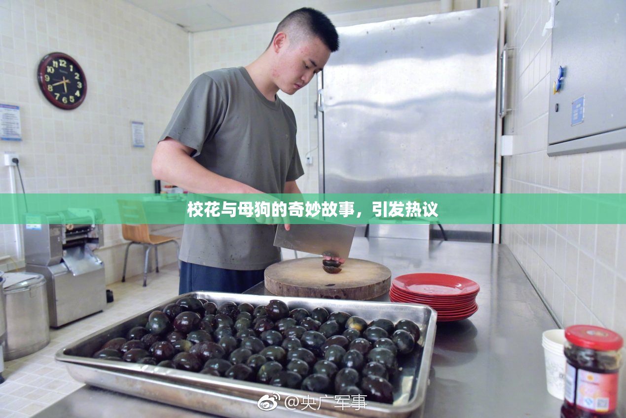 校花与母狗的奇妙故事，引发热议