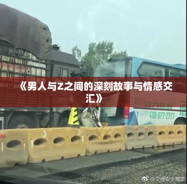 《男人与Z之间的深刻故事与情感交汇》