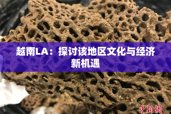 越南LA：探讨该地区文化与经济新机遇