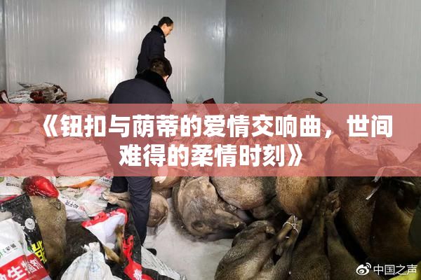《钮扣与荫蒂的爱情交响曲，世间难得的柔情时刻》