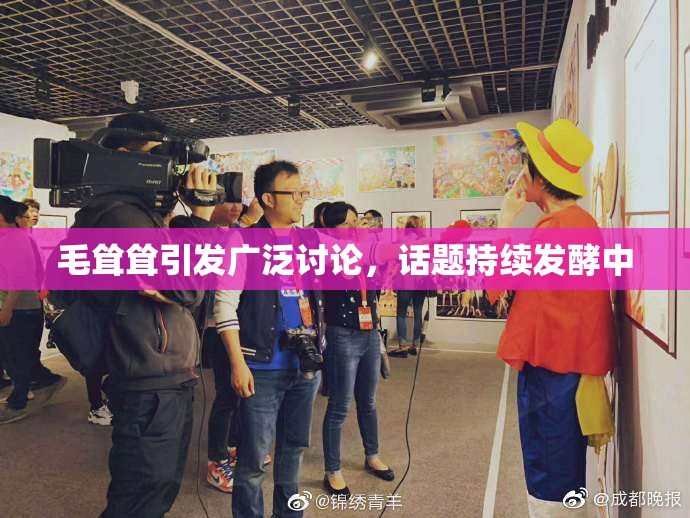 毛耸耸引发广泛讨论，话题持续发酵中