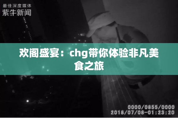 欢阁盛宴：chg带你体验非凡美食之旅