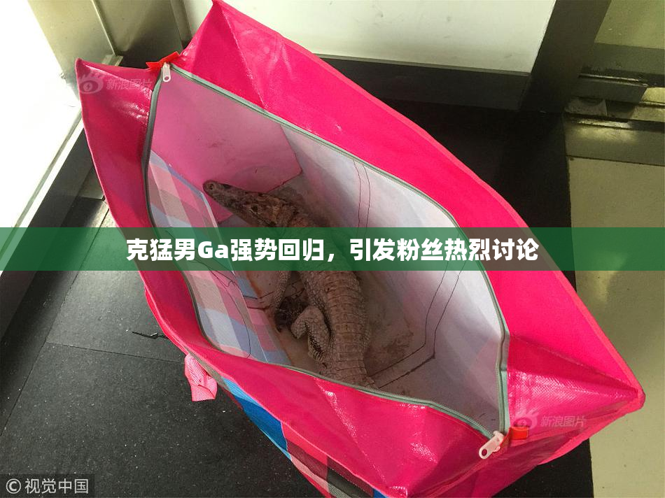 克猛男Ga强势回归，引发粉丝热烈讨论