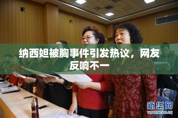 纳西妲被胸事件引发热议，网友反响不一