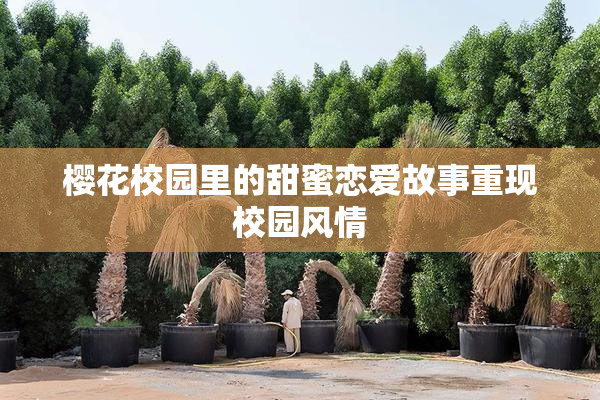 樱花校园里的甜蜜恋爱故事重现校园风情