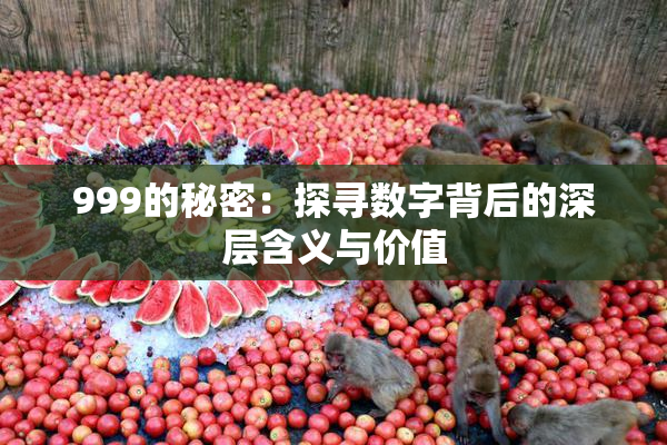 999的秘密：探寻数字背后的深层含义与价值