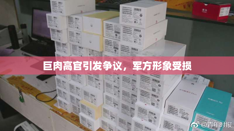 巨肉高官引发争议，军方形象受损