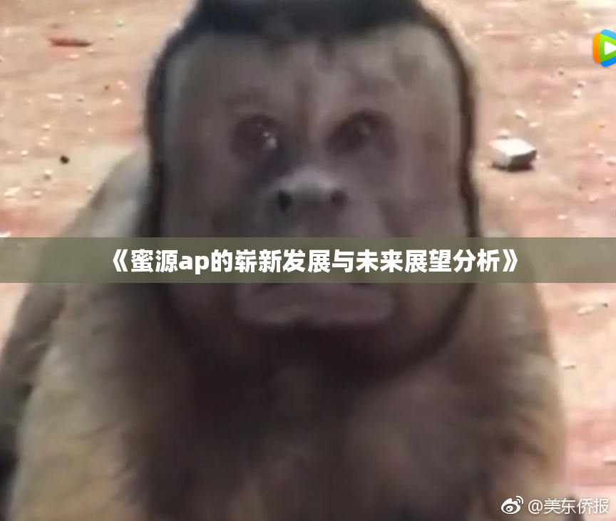 《蜜源ap的崭新发展与未来展望分析》