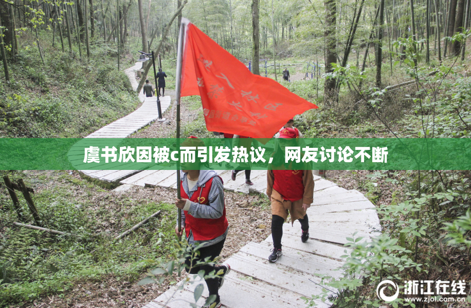 虞书欣因被c而引发热议，网友讨论不断