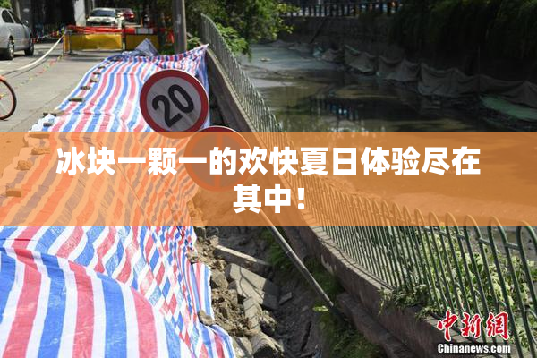 冰块一颗一的欢快夏日体验尽在其中！