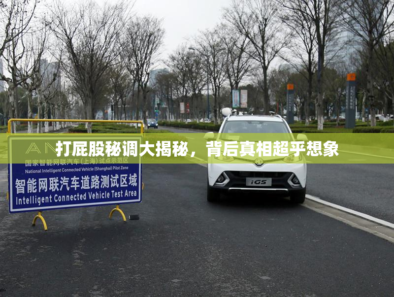打屁股秘调大揭秘，背后真相超乎想象