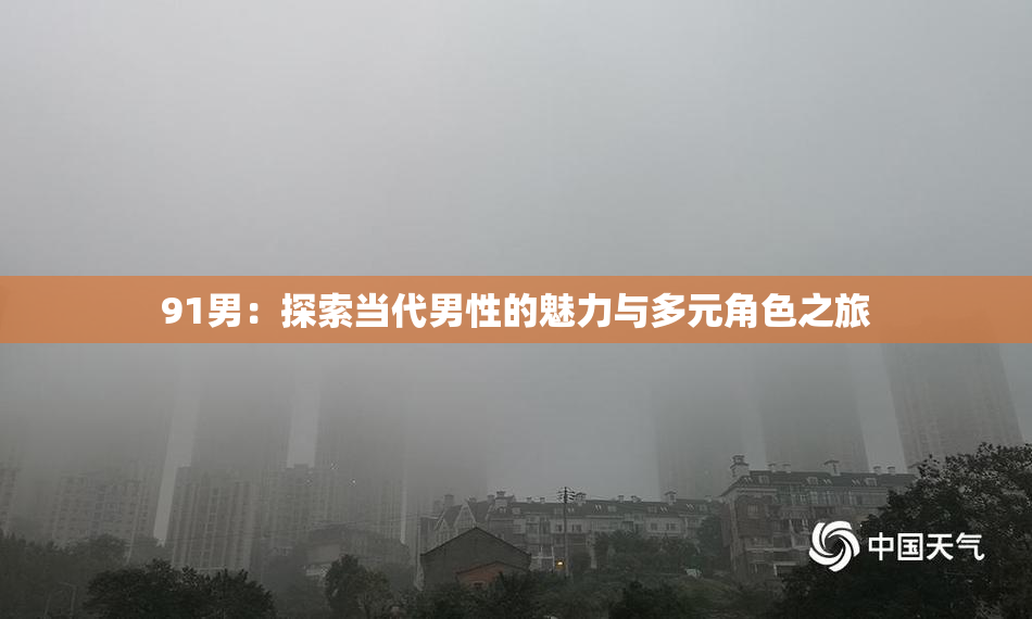 91男：探索当代男性的魅力与多元角色之旅