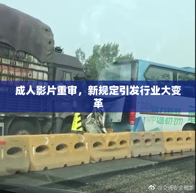成人影片重审，新规定引发行业大变革