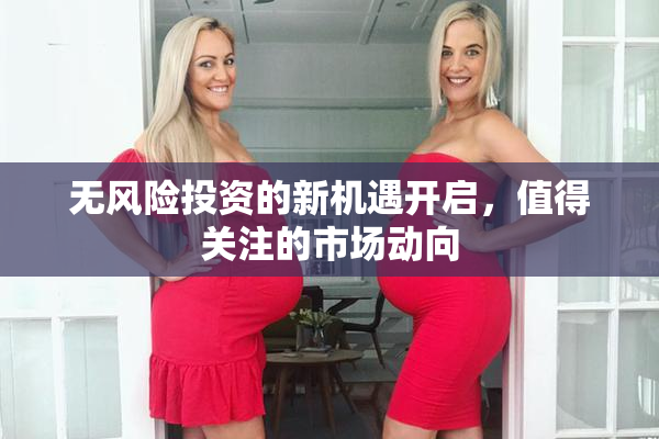 无风险投资的新机遇开启，值得关注的市场动向