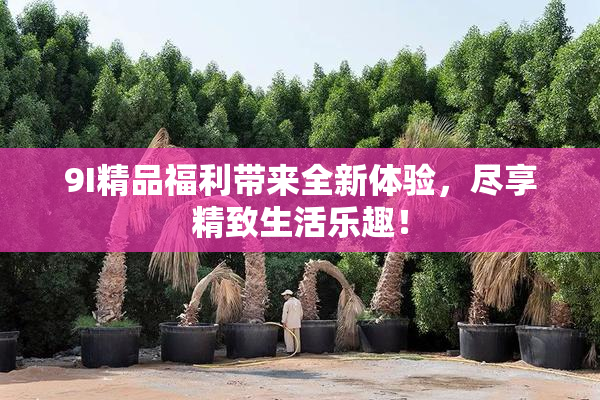 9I精品福利带来全新体验，尽享精致生活乐趣！