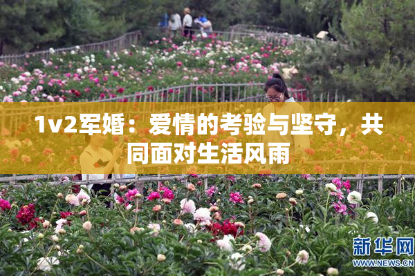 1v2军婚：爱情的考验与坚守，共同面对生活风雨