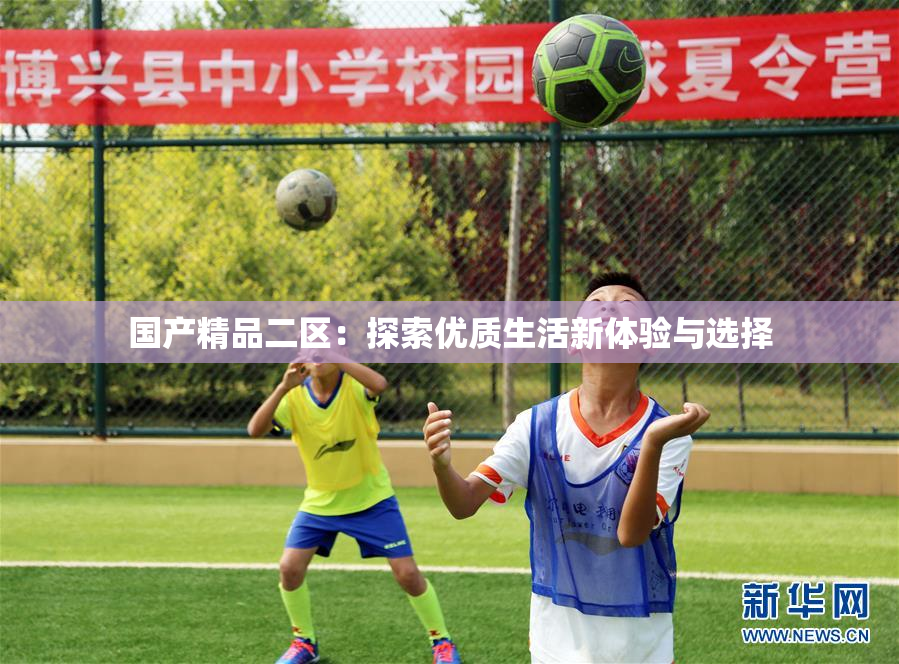 国产精品二区：探索优质生活新体验与选择
