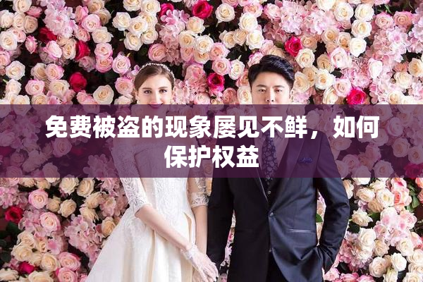 免费被盗的现象屡见不鲜，如何保护权益