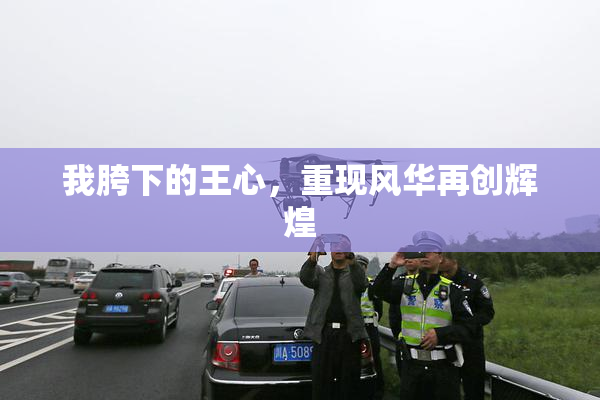 我胯下的王心，重现风华再创辉煌