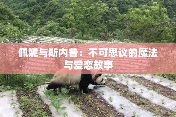 佩妮与斯内普：不可思议的魔法与爱恋故事