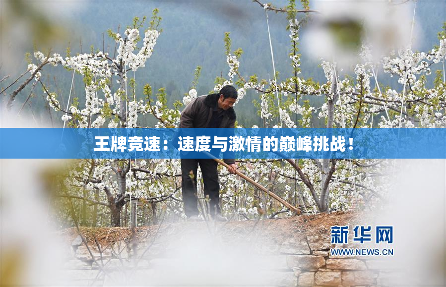 王牌竞速：速度与激情的巅峰挑战！