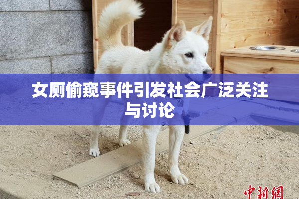 女厕偷窥事件引发社会广泛关注与讨论