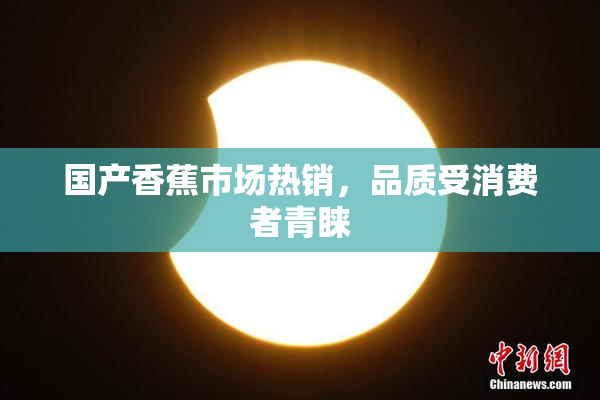 国产香蕉市场热销，品质受消费者青睐