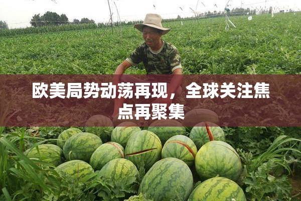 欧美局势动荡再现，全球关注焦点再聚集