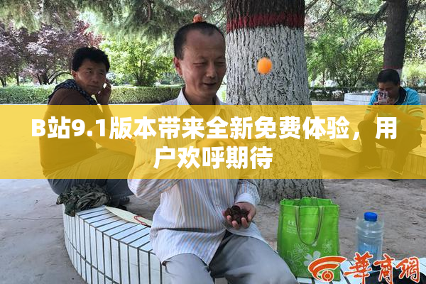 B站9.1版本带来全新免费体验，用户欢呼期待