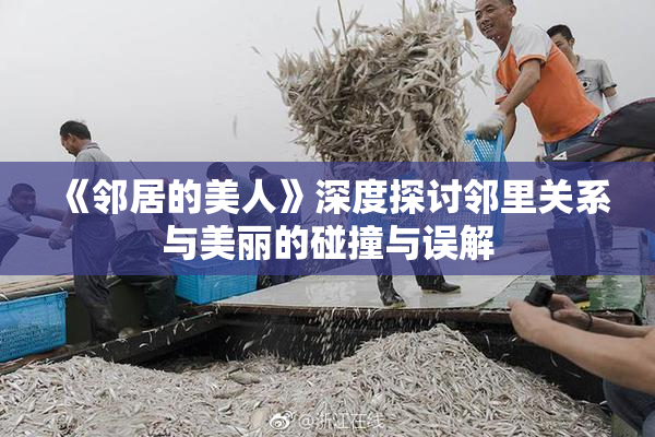 《邻居的美人》深度探讨邻里关系与美丽的碰撞与误解