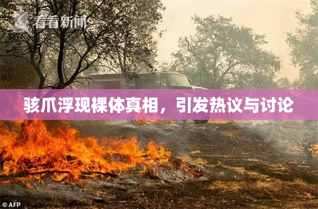 骇爪浮现裸体真相，引发热议与讨论