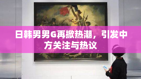 日韩男男G再掀热潮，引发中方关注与热议