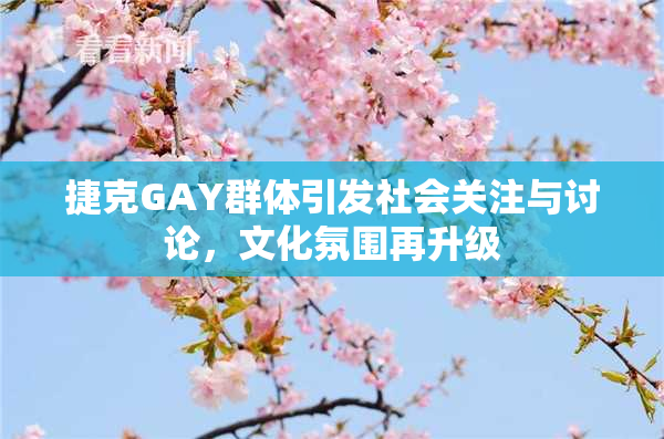 捷克GAY群体引发社会关注与讨论，文化氛围再升级