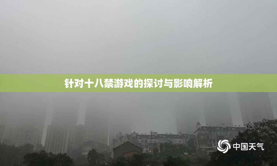 针对十八禁游戏的探讨与影响解析