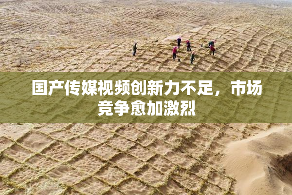 国产传媒视频创新力不足，市场竞争愈加激烈