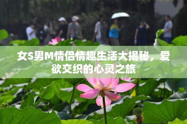 女S男M情侣情趣生活大揭秘，爱欲交织的心灵之旅