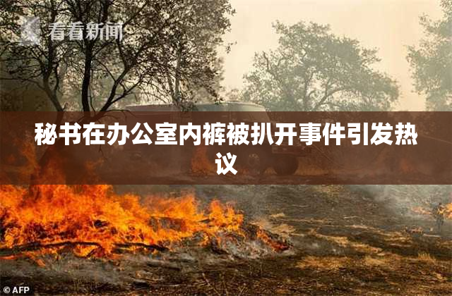 秘书在办公室内裤被扒开事件引发热议