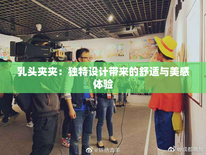 乳头夹夹：独特设计带来的舒适与美感体验