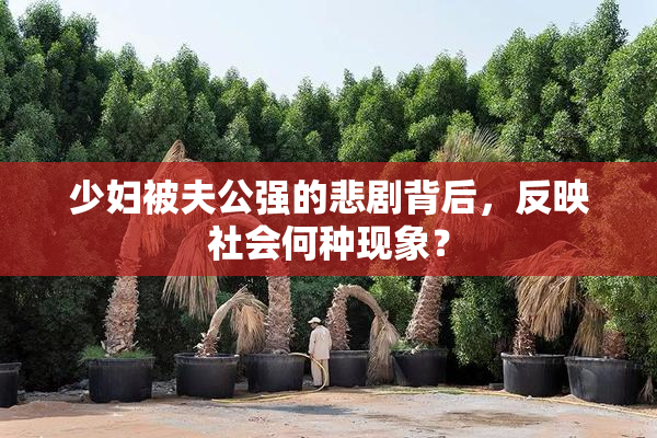 少妇被夫公强的悲剧背后，反映社会何种现象？